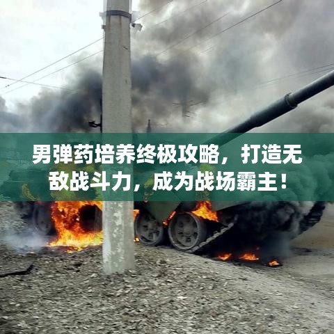 男彈藥培養(yǎng)終極攻略，打造無敵戰(zhàn)斗力，成為戰(zhàn)場霸主！