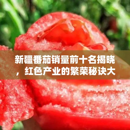 新疆番茄銷(xiāo)量前十名揭曉，紅色產(chǎn)業(yè)的繁榮秘訣大揭秘