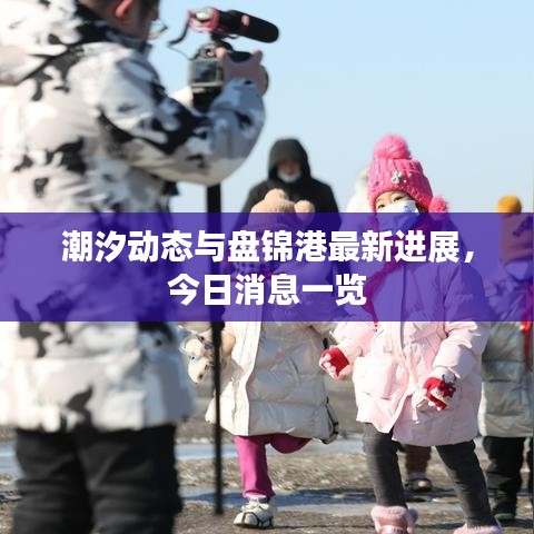 潮汐動(dòng)態(tài)與盤錦港最新進(jìn)展，今日消息一覽