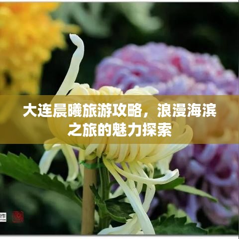 大連晨曦旅游攻略，浪漫海濱之旅的魅力探索