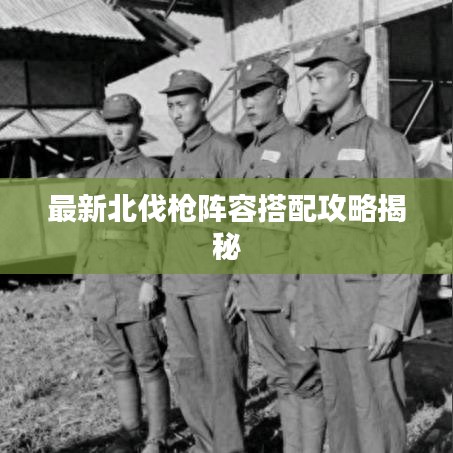 最新北伐槍陣容搭配攻略揭秘