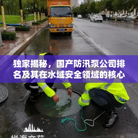 獨家揭秘，國產防汛泵公司排名及其在水域安全領域的核心地位