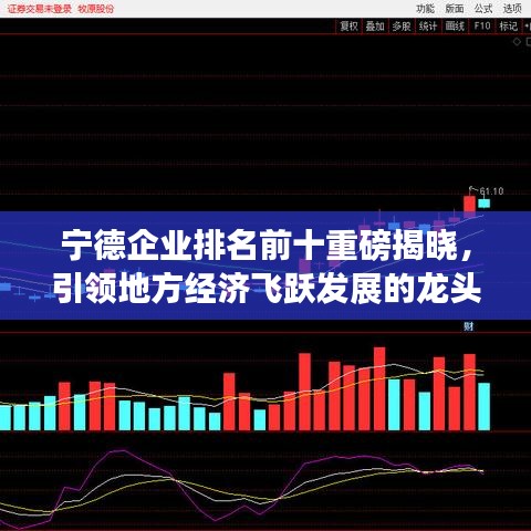 寧德企業(yè)排名前十重磅揭曉，引領(lǐng)地方經(jīng)濟(jì)飛躍發(fā)展的龍頭企業(yè)！