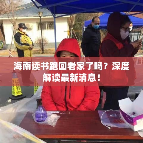 海南讀書跑回老家了嗎？深度解讀最新消息！
