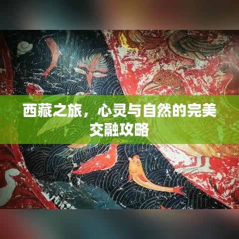 西藏之旅，心靈與自然的完美交融攻略