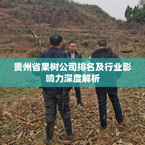 貴州省果樹公司排名及行業(yè)影響力深度解析