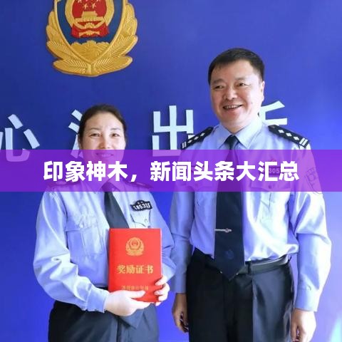 印象神木，新聞頭條大匯總