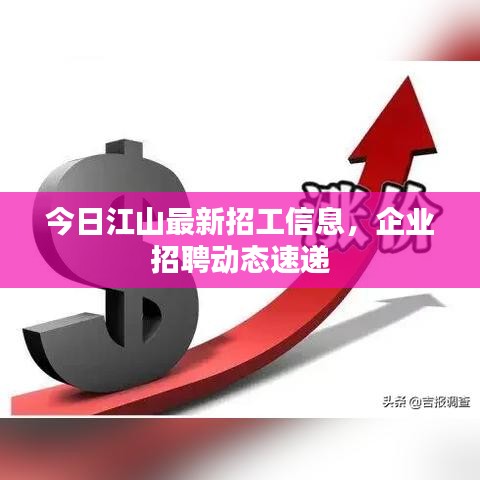 今日江山最新招工信息，企業(yè)招聘動態(tài)速遞