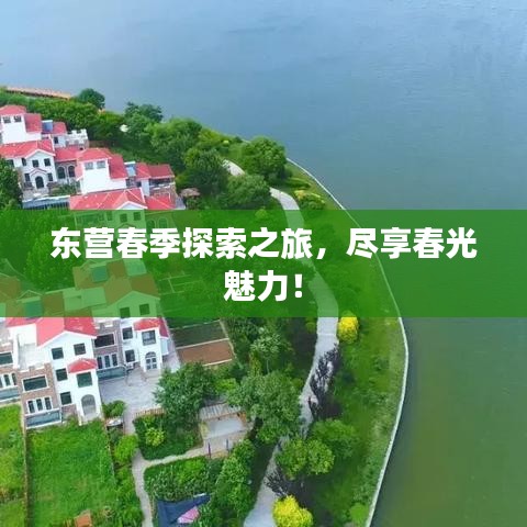 東營春季探索之旅，盡享春光魅力！