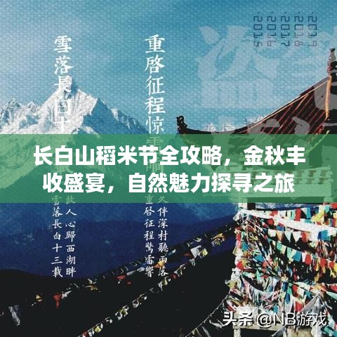 長白山稻米節(jié)全攻略，金秋豐收盛宴，自然魅力探尋之旅