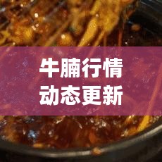 牛腩行情動(dòng)態(tài)更新，今日價(jià)格走勢(shì)與市場(chǎng)深度分析