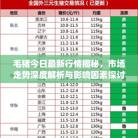 毛豬今日最新行情揭秘，市場(chǎng)走勢(shì)深度解析與影響因素探討