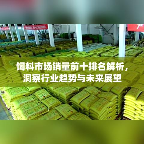 飼料市場銷量前十排名解析，洞察行業(yè)趨勢與未來展望