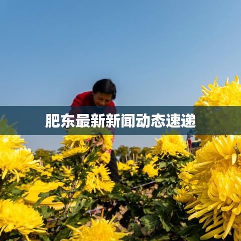 肥東最新新聞動(dòng)態(tài)速遞