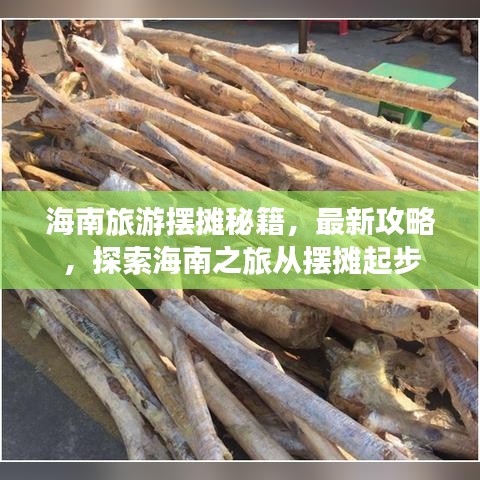 海南旅游擺攤秘籍，最新攻略，探索海南之旅從擺攤起步