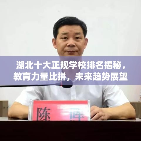 湖北十大正規(guī)學校排名揭秘，教育力量比拼，未來趨勢展望