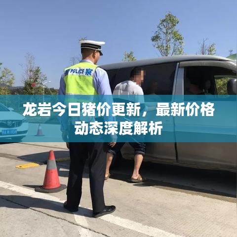 龍巖今日豬價(jià)更新，最新價(jià)格動(dòng)態(tài)深度解析