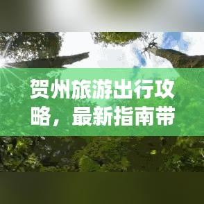 賀州旅游出行攻略，最新指南帶你暢游勝地！