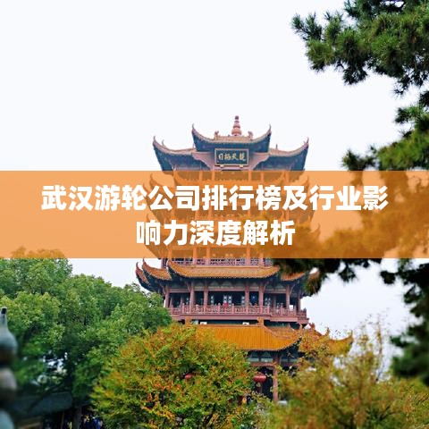 武漢游輪公司排行榜及行業(yè)影響力深度解析