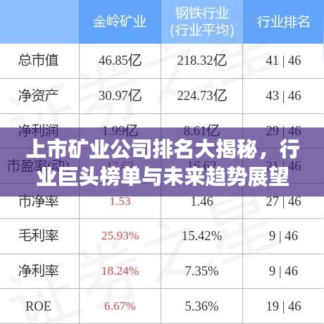 上市礦業(yè)公司排名大揭秘，行業(yè)巨頭榜單與未來趨勢展望