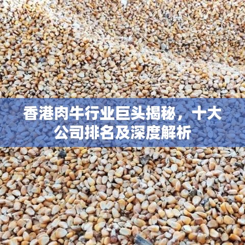 香港肉牛行業(yè)巨頭揭秘，十大公司排名及深度解析