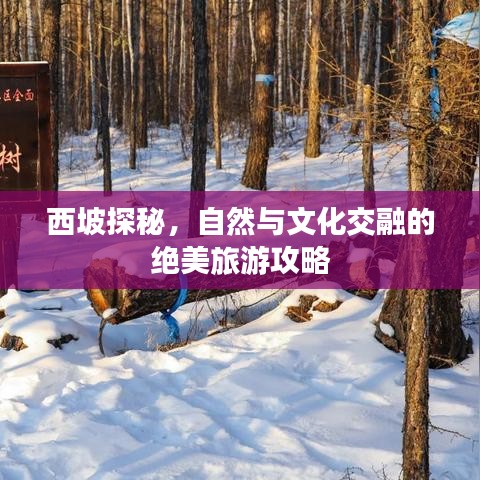 西坡探秘，自然與文化交融的絕美旅游攻略