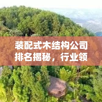 裝配式木結(jié)構(gòu)公司排名揭秘，行業(yè)領(lǐng)軍者一覽