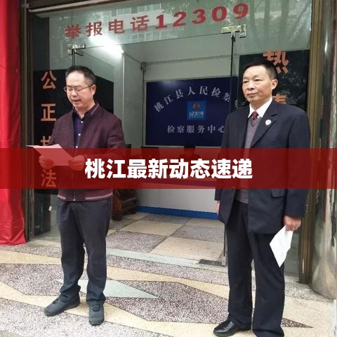 桃江最新動(dòng)態(tài)速遞