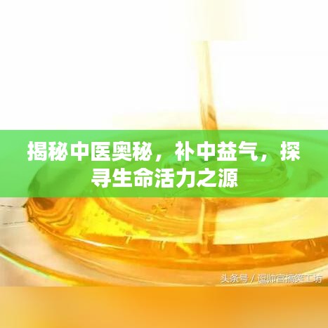 揭秘中醫(yī)奧秘，補(bǔ)中益氣，探尋生命活力之源