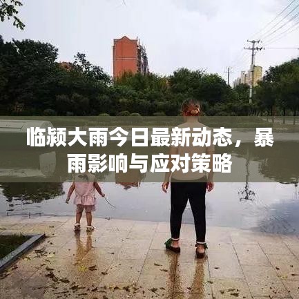 臨潁大雨今日最新動態(tài)，暴雨影響與應(yīng)對策略