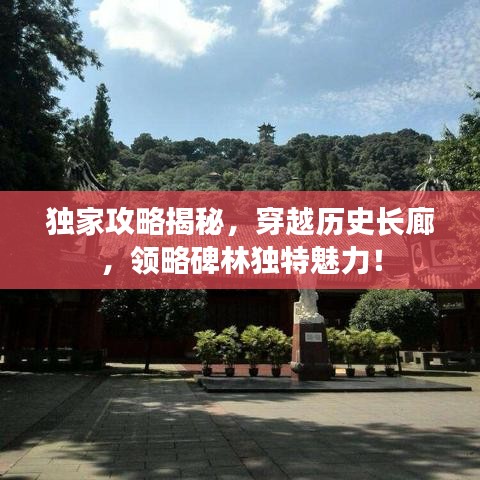 獨家攻略揭秘，穿越歷史長廊，領(lǐng)略碑林獨特魅力！