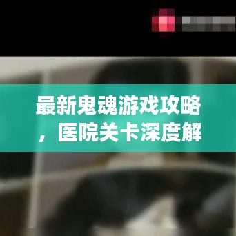 最新鬼魂游戲攻略，醫(yī)院關(guān)卡深度解析與通關(guān)秘籍