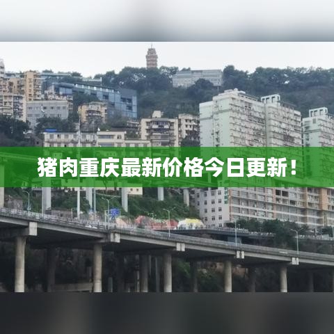 豬肉重慶最新價(jià)格今日更新！