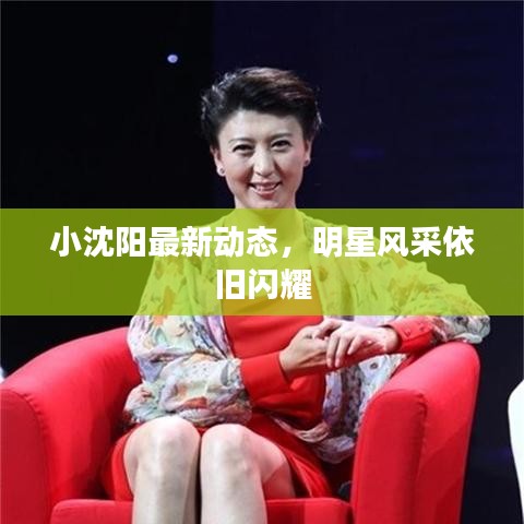 小沈陽最新動(dòng)態(tài)，明星風(fēng)采依舊閃耀