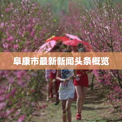 阜康市最新新聞?lì)^條概覽