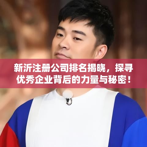 新沂注冊公司排名揭曉，探尋優(yōu)秀企業(yè)背后的力量與秘密！