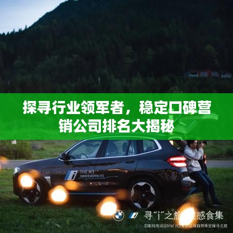 探尋行業(yè)領軍者，穩(wěn)定口碑營銷公司排名大揭秘