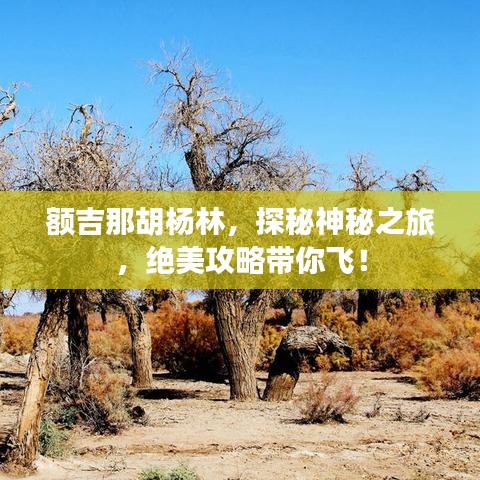 額吉那胡楊林，探秘神秘之旅，絕美攻略帶你飛！