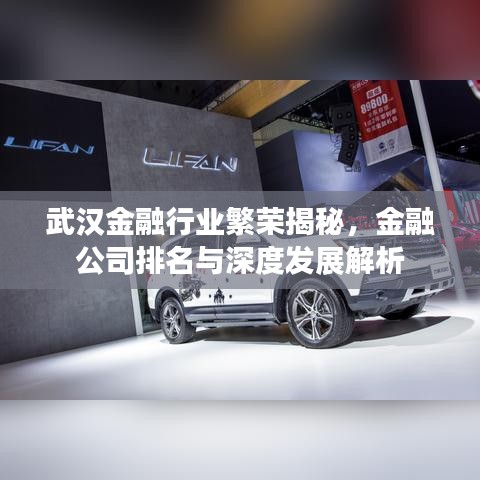 武漢金融行業(yè)繁榮揭秘，金融公司排名與深度發(fā)展解析