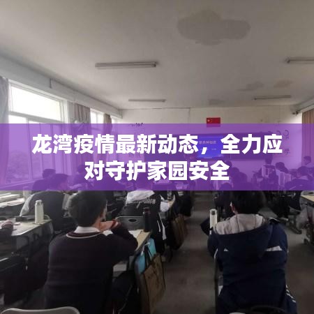 龍灣疫情最新動態(tài)，全力應(yīng)對守護(hù)家園安全