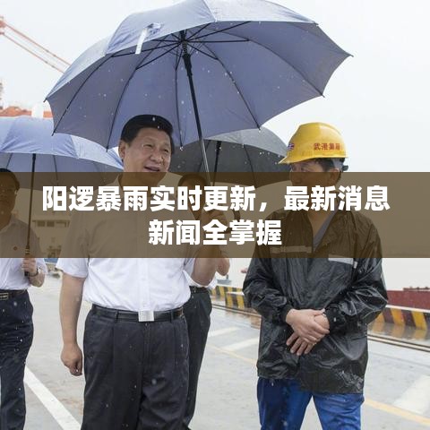 陽邏暴雨實(shí)時(shí)更新，最新消息新聞全掌握