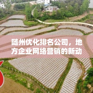 隨州優(yōu)化排名公司，地方企業(yè)網(wǎng)絡(luò)營銷的新動力伙伴
