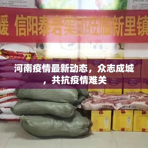 河南疫情最新動(dòng)態(tài)，眾志成城，共抗疫情難關(guān)