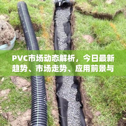PVC市場(chǎng)動(dòng)態(tài)解析，今日最新趨勢(shì)、市場(chǎng)走勢(shì)、應(yīng)用前景與產(chǎn)業(yè)發(fā)展深度分析