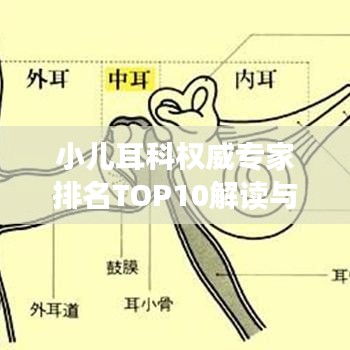 小兒耳科權(quán)威專家排名TOP10解讀與深度剖析