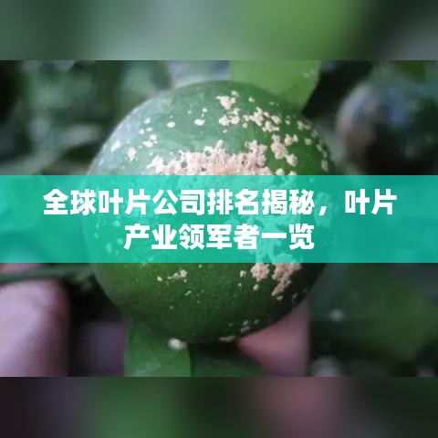 全球葉片公司排名揭秘，葉片產(chǎn)業(yè)領軍者一覽