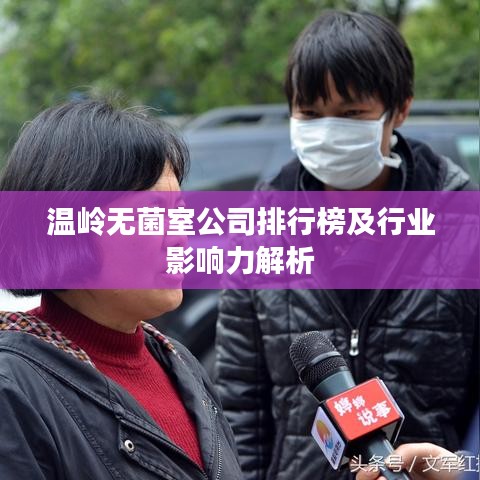 溫嶺無菌室公司排行榜及行業(yè)影響力解析
