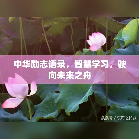 中華勵(lì)志語錄，智慧學(xué)習(xí)，駛向未來之舟