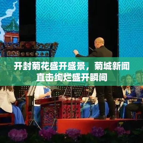 開(kāi)封菊花盛開(kāi)盛景，菊城新聞直擊絢爛盛開(kāi)瞬間