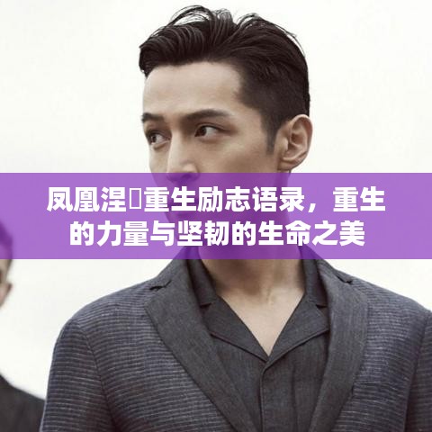 鳳凰涅槃重生勵(lì)志語錄，重生的力量與堅(jiān)韌的生命之美